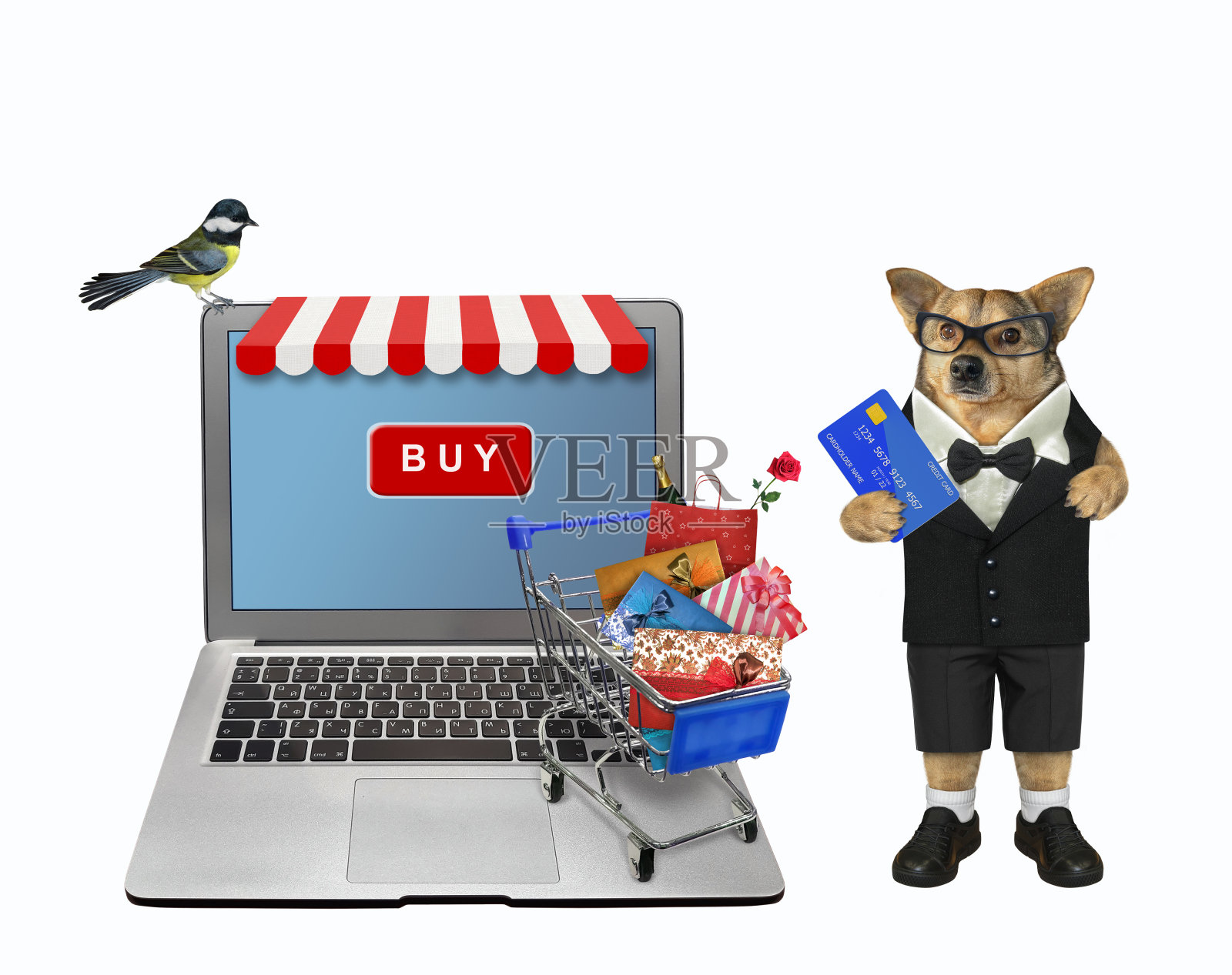 用信用卡在网上买狗照片摄影图片