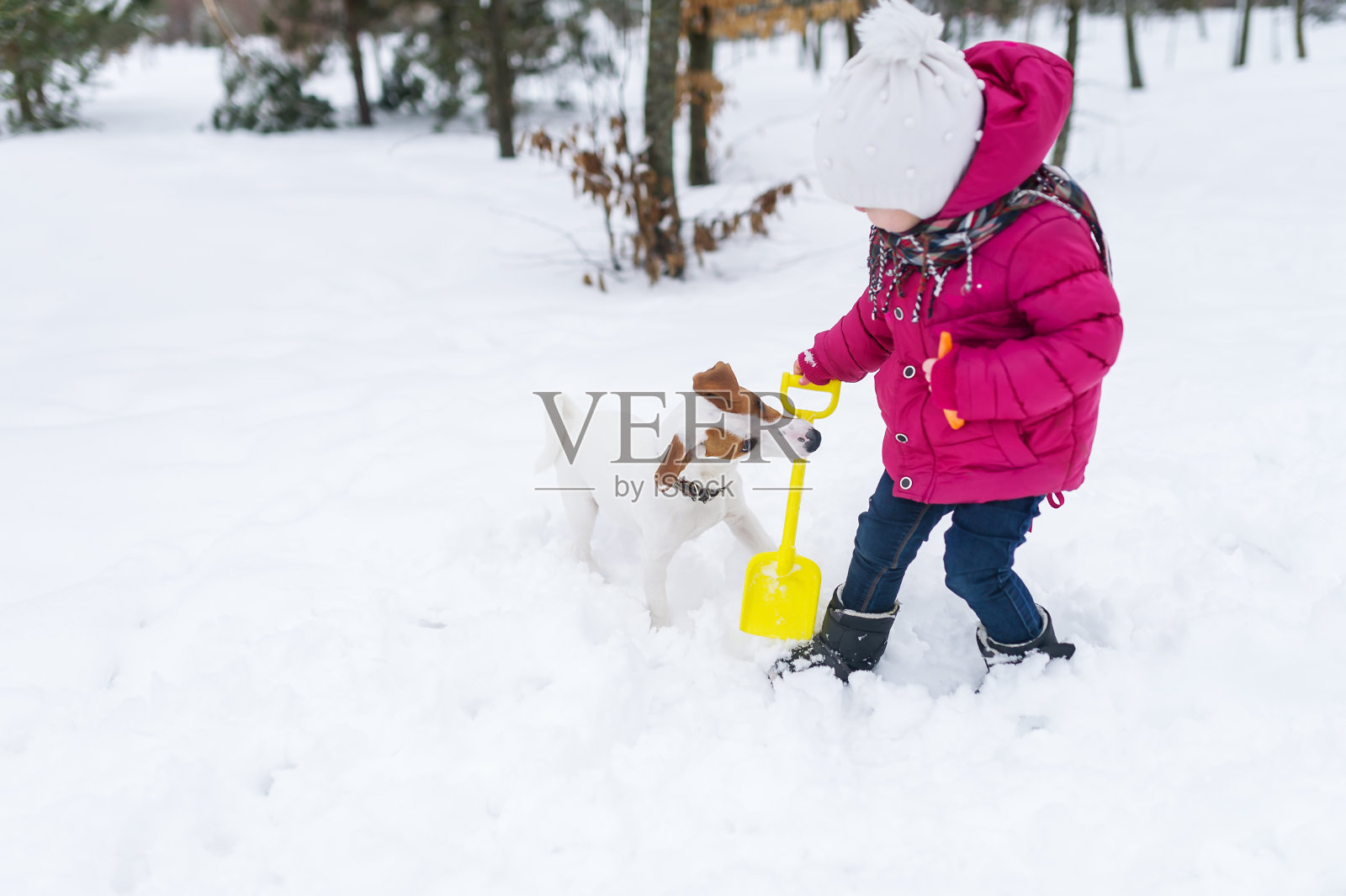 小女孩和小狗在冬季公园玩照片摄影图片
