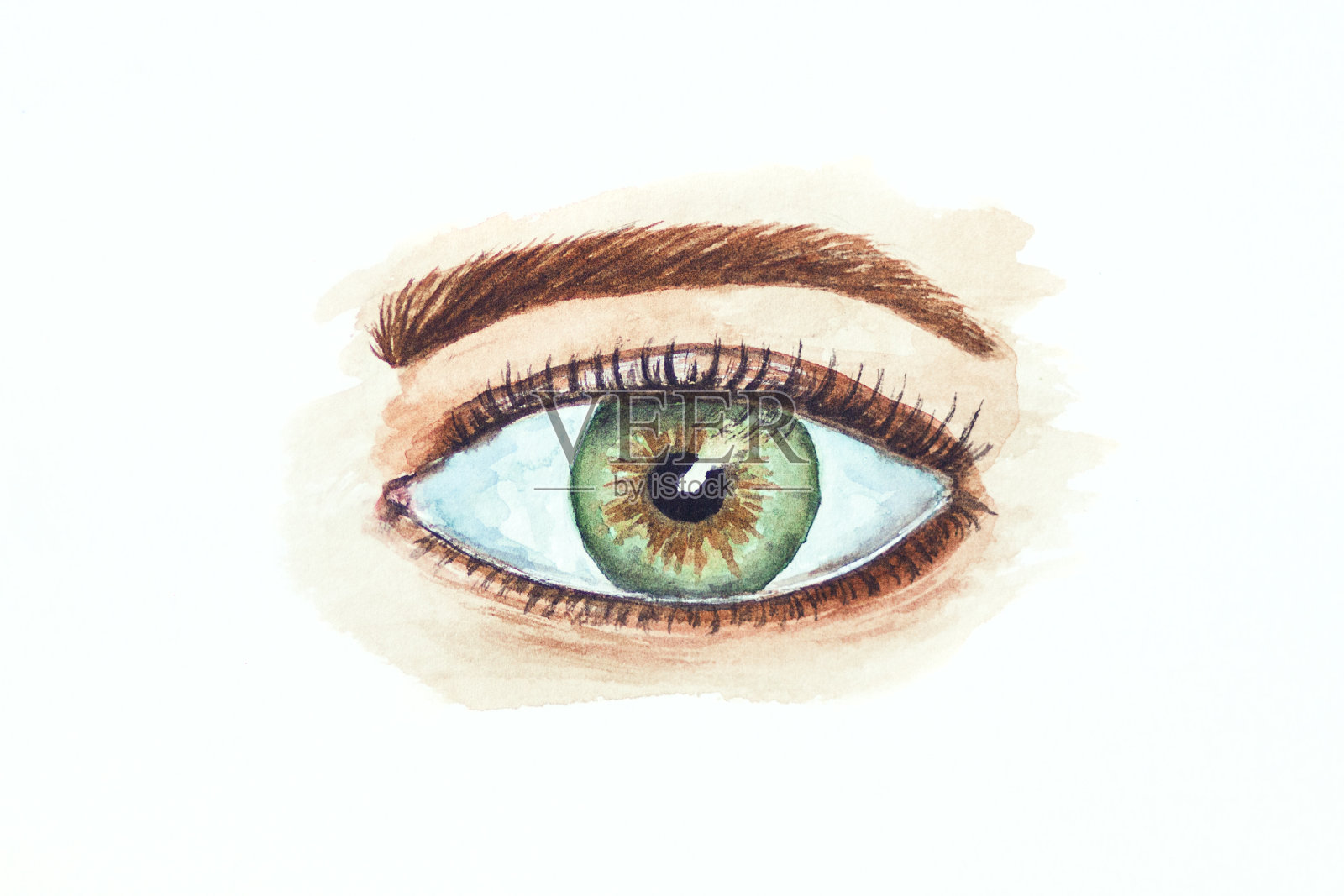 水彩画的眼睛孤立在白色的背景。绿色和灰色眼睛的插图插画图片素材