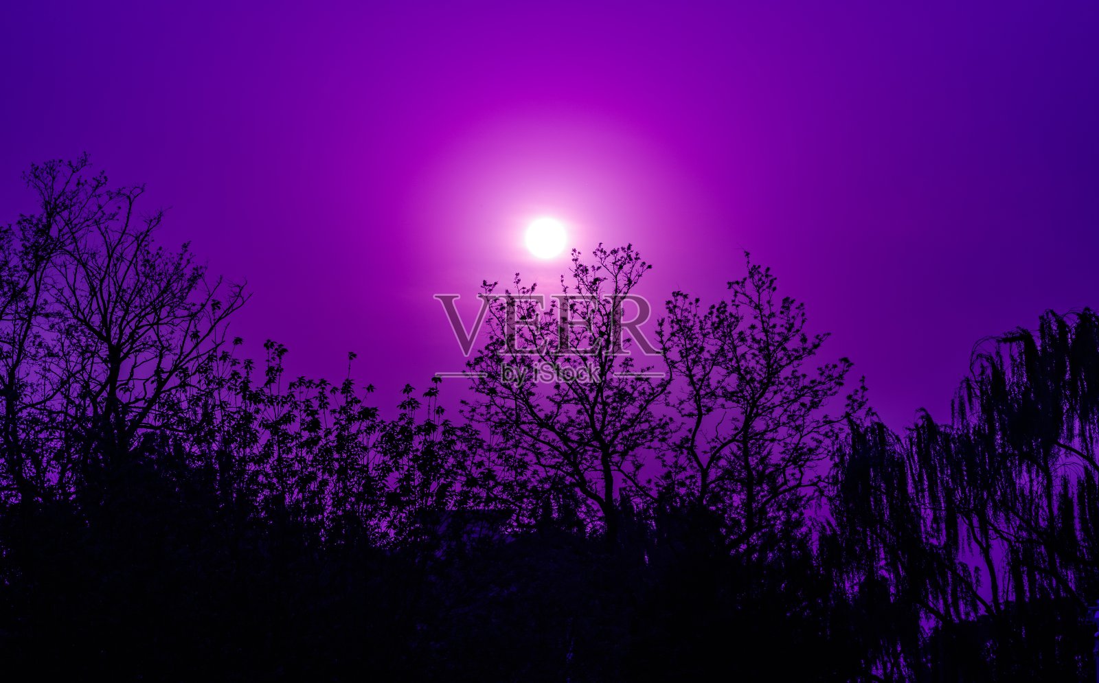 浪漫的紫色天空照片摄影图片