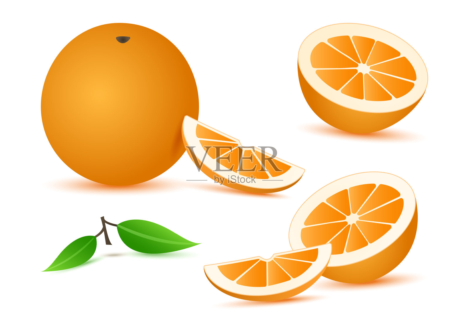 橙色现实与树叶，切片柑桔水果孤立在白色的背景。向量设计元素图片