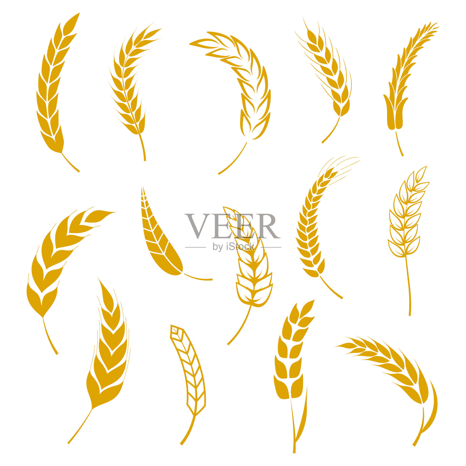 套简单的小麦穗图标和谷物设计元素为啤酒，有机小麦本地农场新鲜食品，烘焙主题的小麦设计，谷物，啤酒元素，小麦简单。矢量图插画图片素材