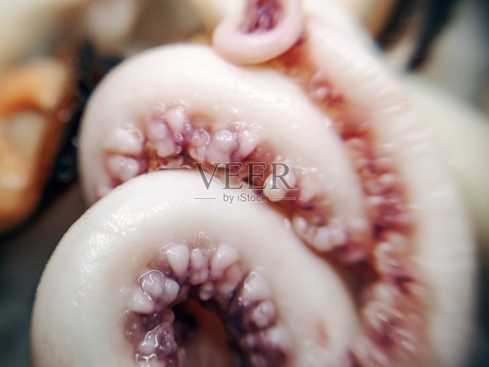 美味章鱼触手触角海鲜食品动物微距照片照片摄影图片