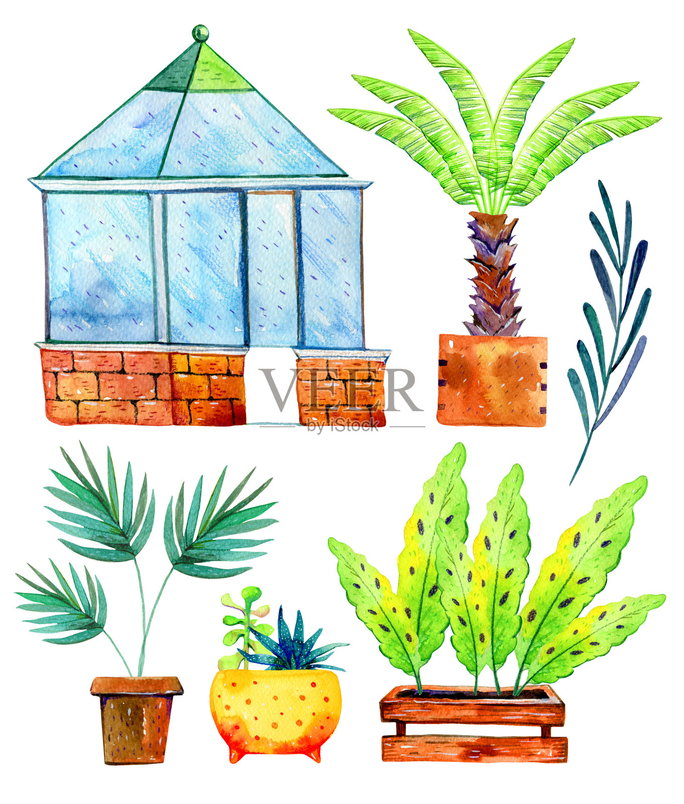 配有英式温室、植物、棕榈树和盆栽多肉植物。手绘水彩孤立素描插图插画图片素材