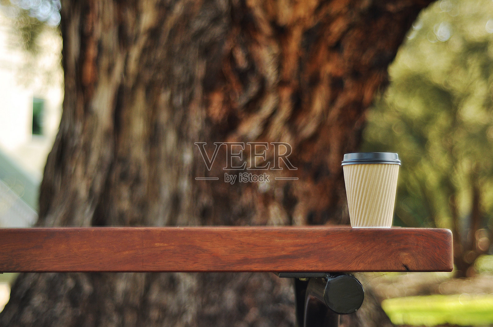 咖啡杯放在公园的户外桌子上照片摄影图片
