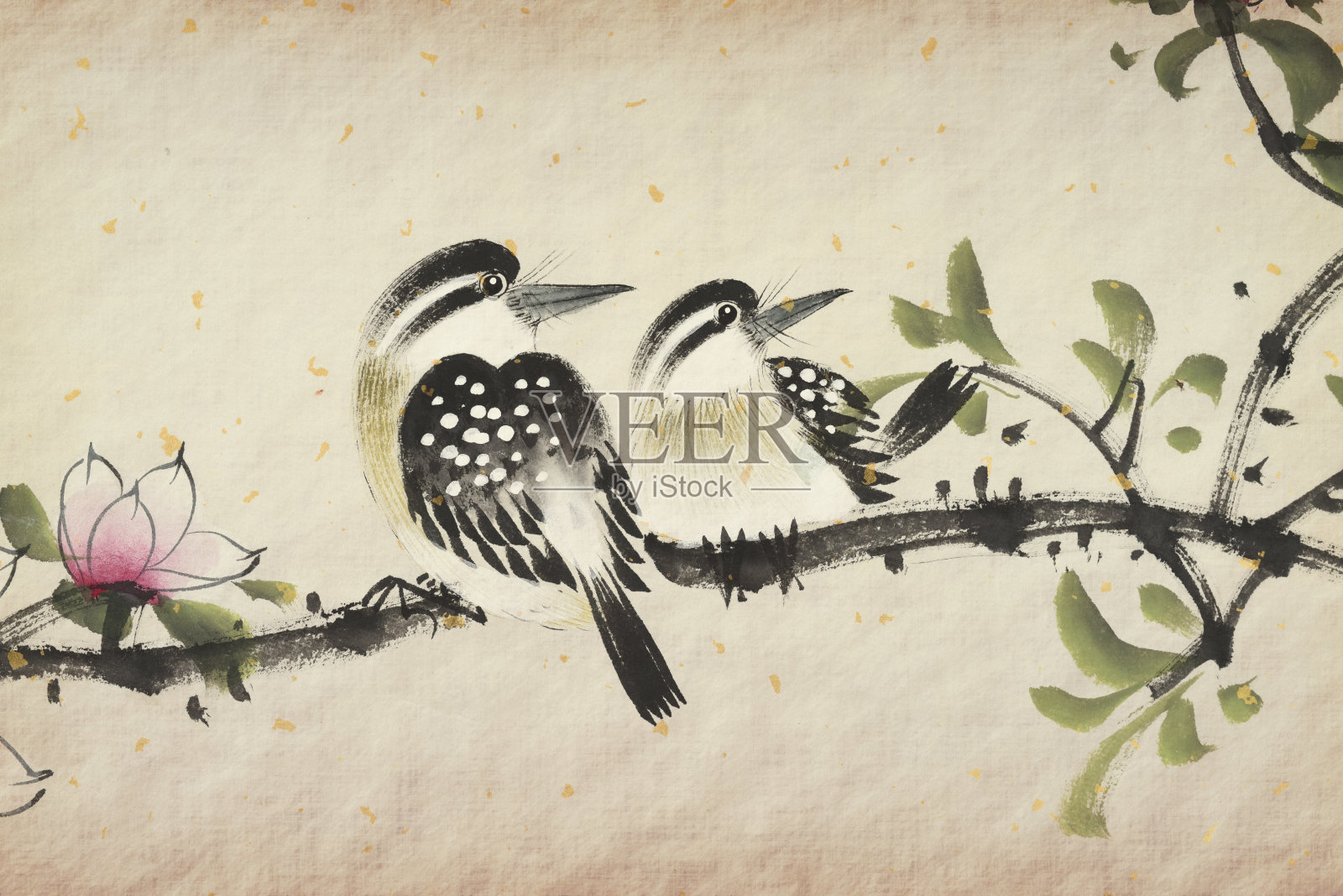 中国传统的花鸟画插画图片素材