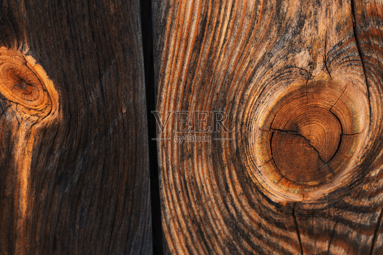 两种木材的砍伐是平躺着拍摄的照片摄影图片