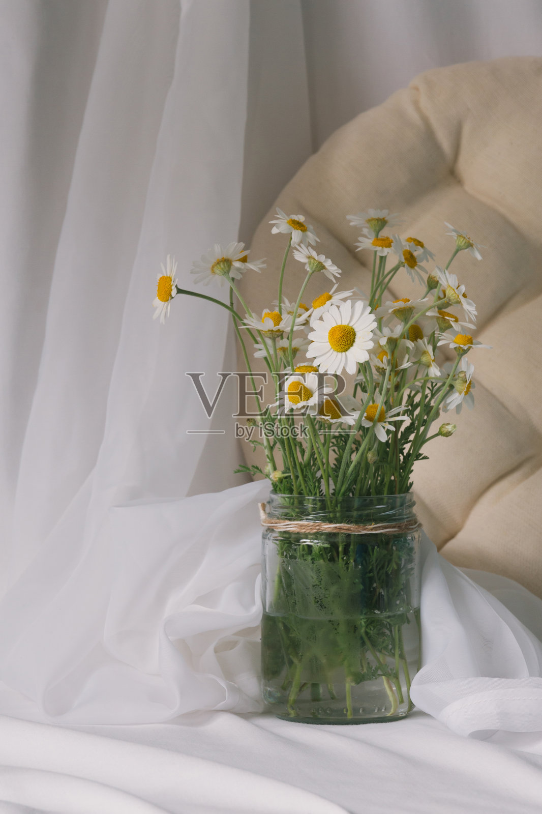 质朴的甘菊花束静物在浅色中性布背景上。照片摄影图片