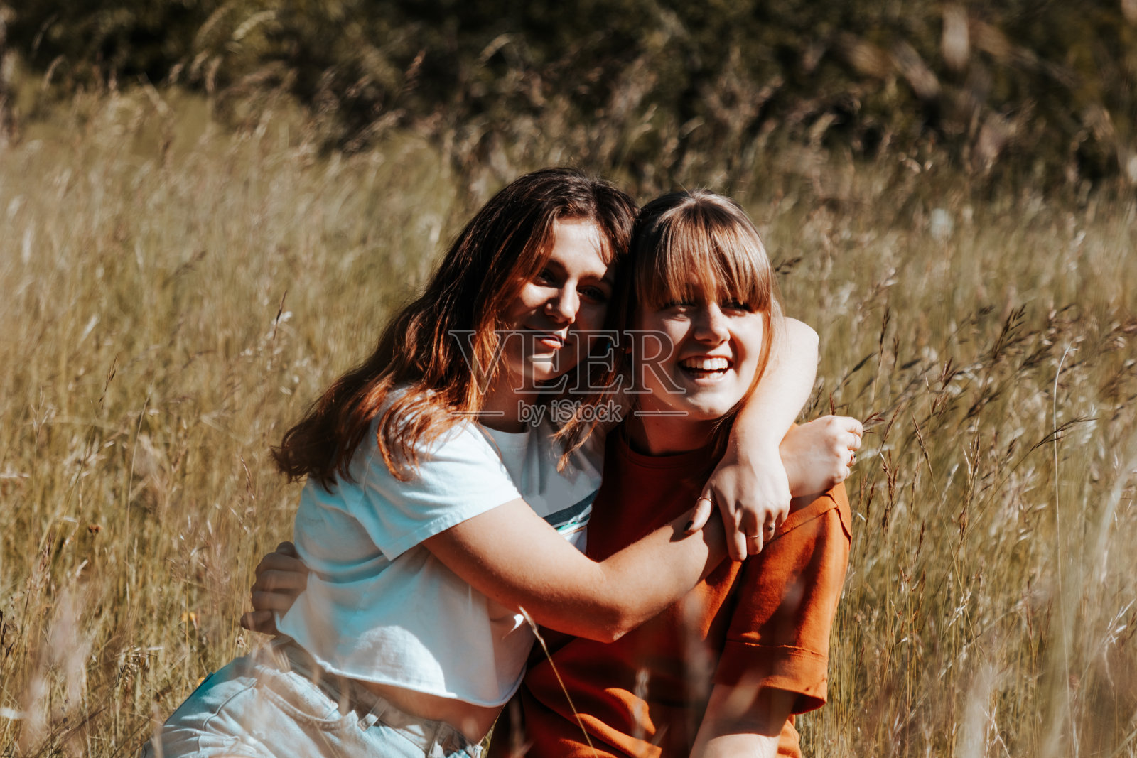 女孩们一起坐在夏天的草地上玩照片摄影图片