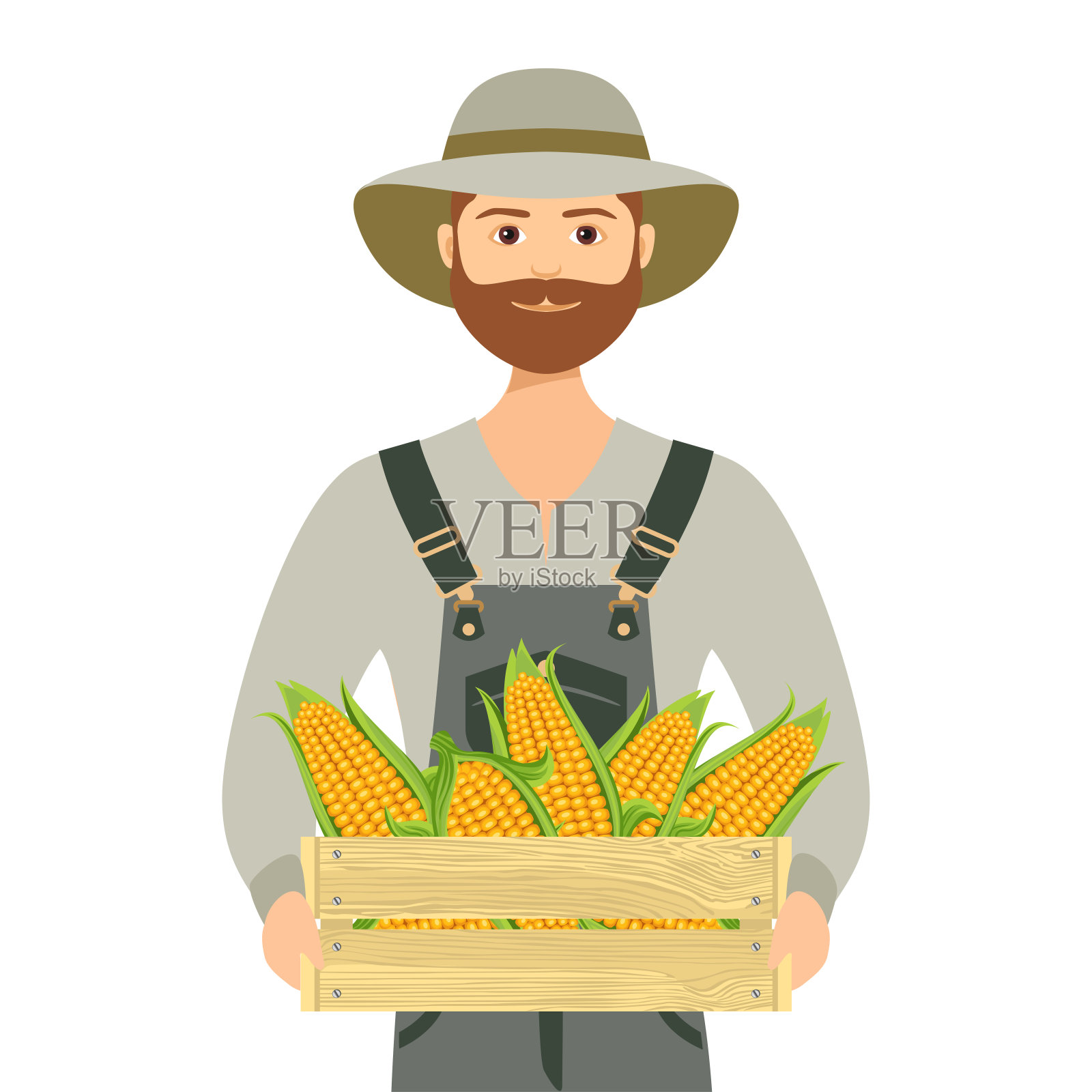 农民拿着装着成熟的黄色玉米的木箱。生态农场。健康有机食品的概念。向量插图的人园丁插画图片素材