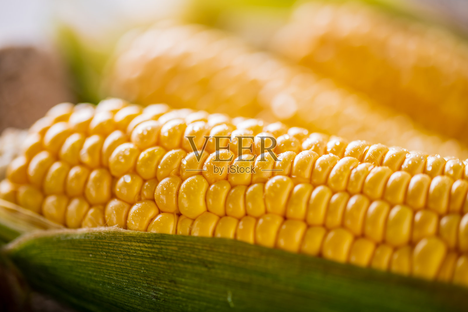 新鲜黄色玉米的特写图像。照片摄影图片