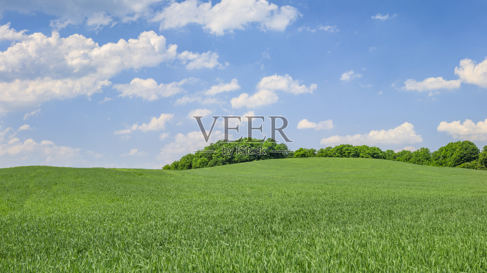 全景春天景观，xxxxl45mpix -绿色的田野，蓝色的天空照片摄影图片