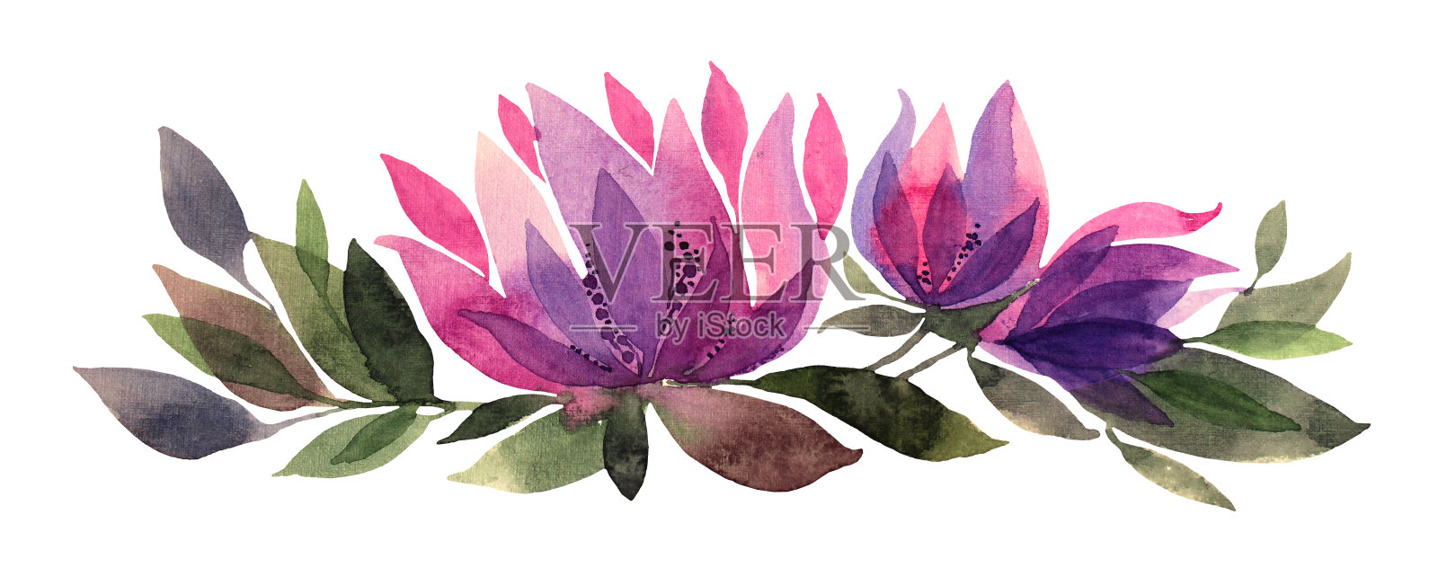 水彩手绘粉红色和紫色的花菊花或百合与绿叶孤立在白色的背景。艺术创作水平对象贴纸，卡片，墙纸，纺织品，包装插画图片素材
