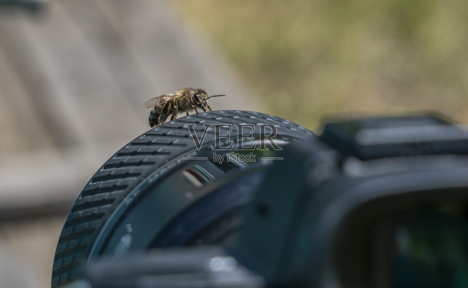 一只蜜蜂想要拍照，就坐在了照相机的镜头上照片摄影图片