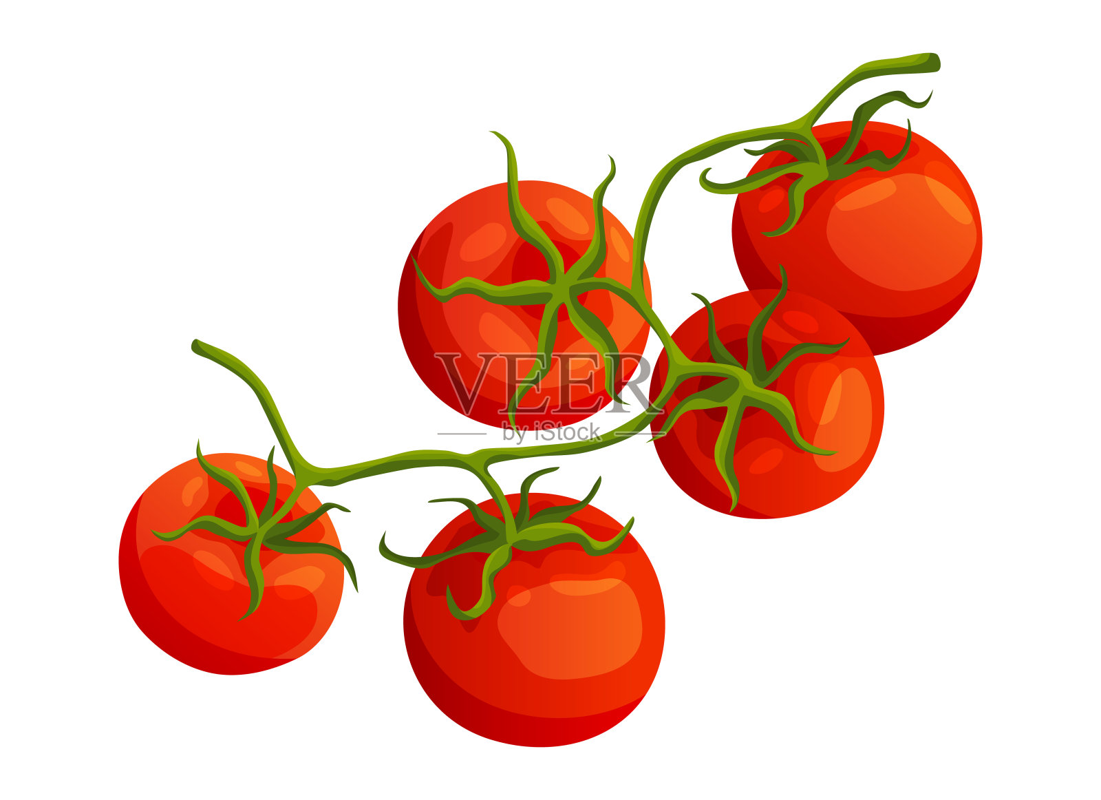 奇瑞番茄。新鲜健康的红番茄，平铺风格。素食。蔬菜来自农场。有机食品。番茄矢量图插画图片素材