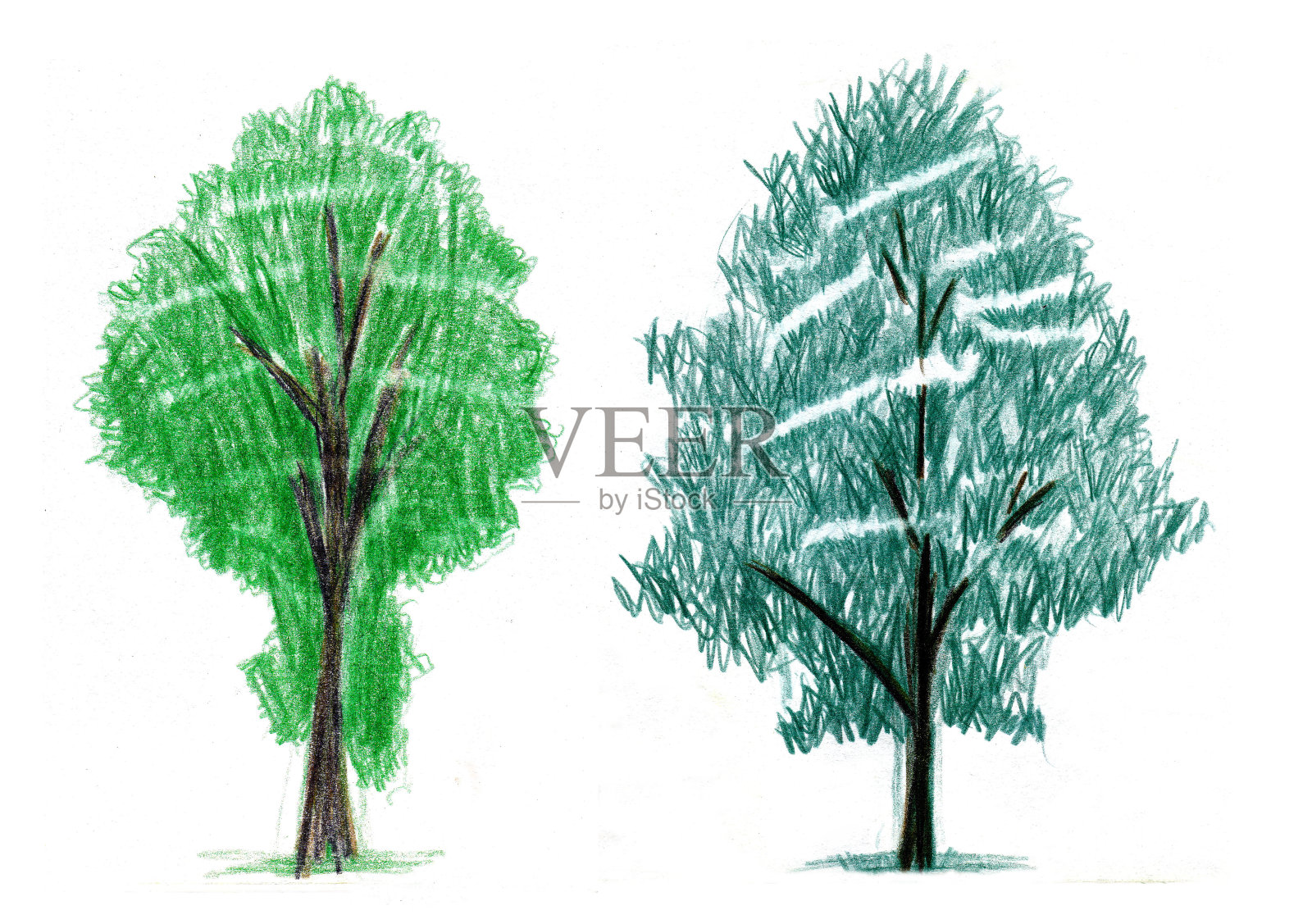 用彩色铅笔画的一组树。插画图片素材