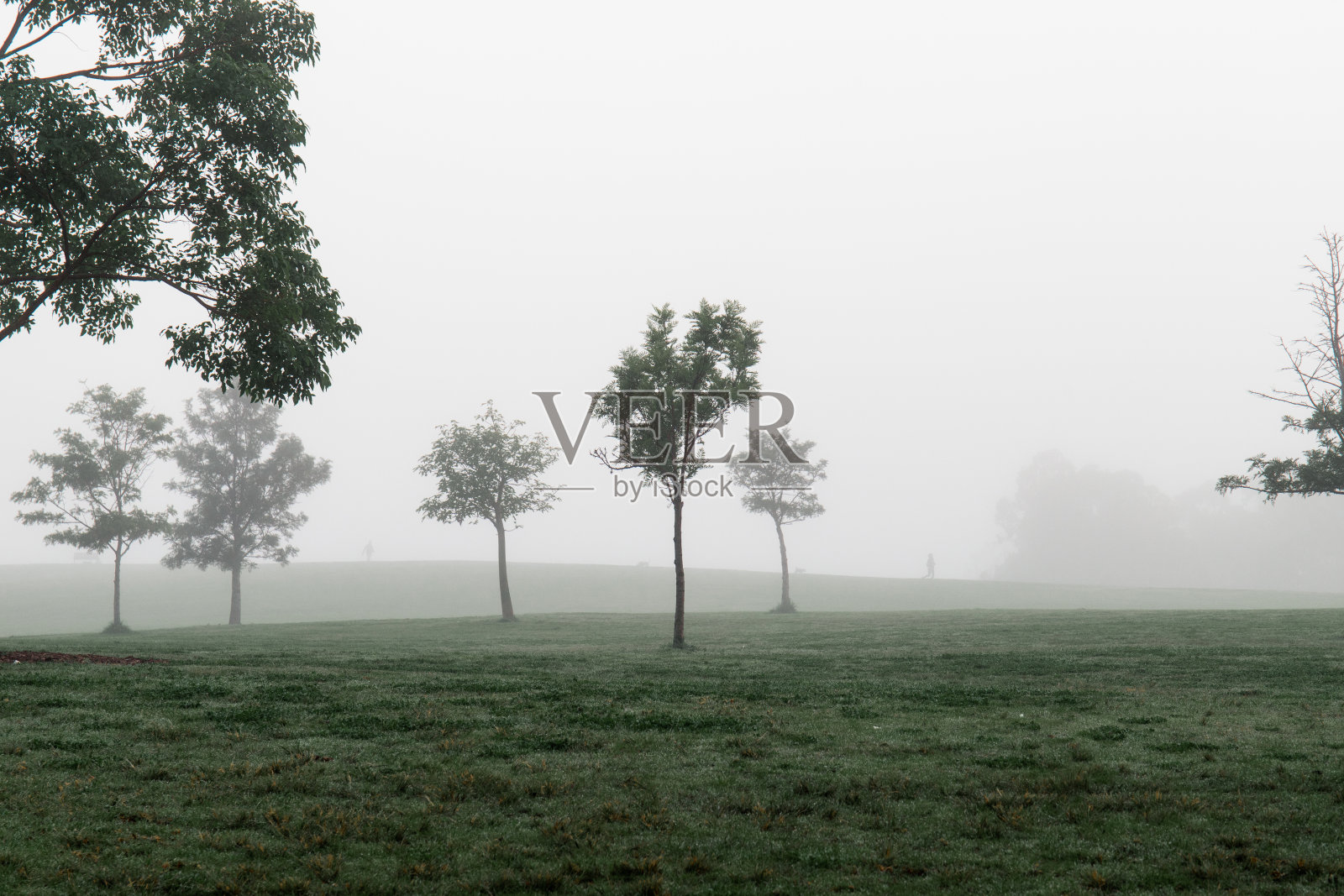 有雾的早晨视图照片摄影图片