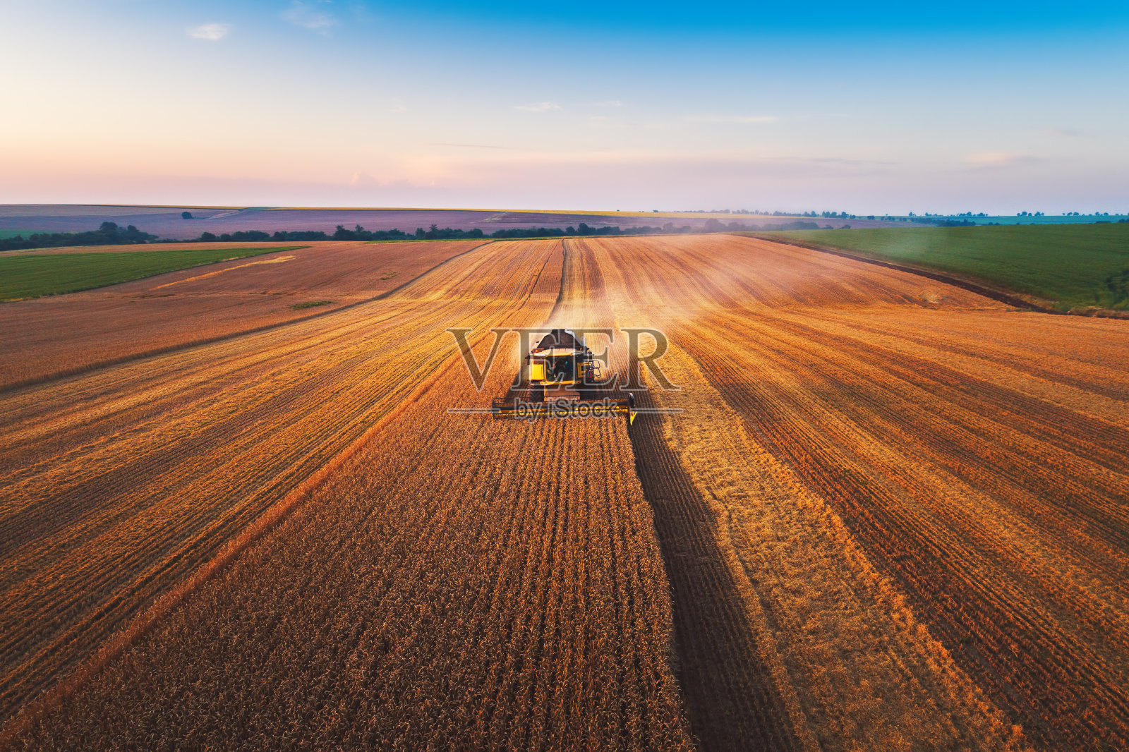 联合收割机农业机械收获金黄成熟的麦田照片摄影图片