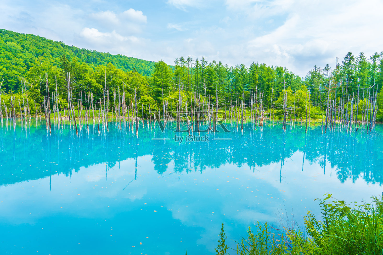 日本北海道北城的蓝色池塘照片摄影图片