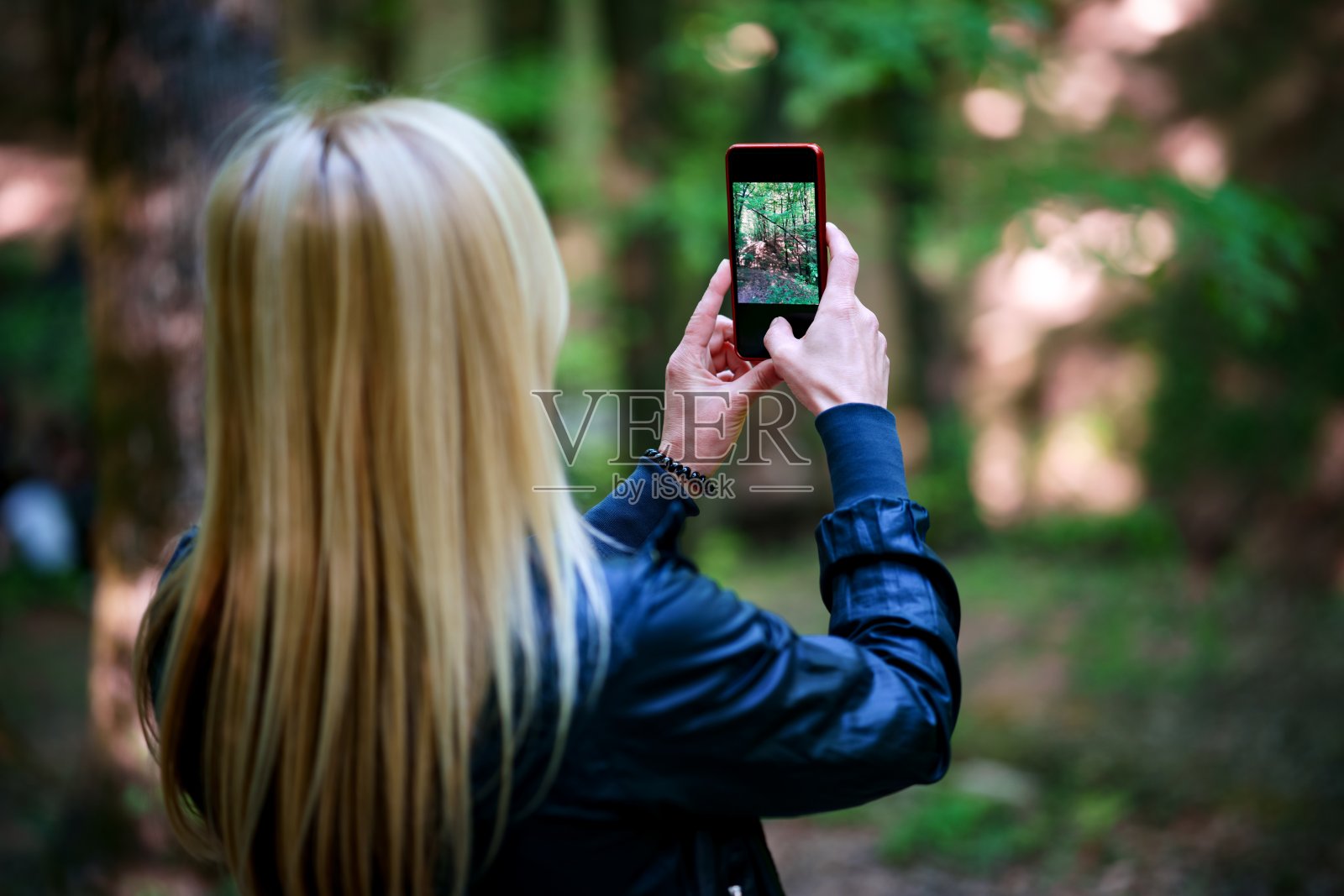 女人通过智能手机拍摄树木照片摄影图片