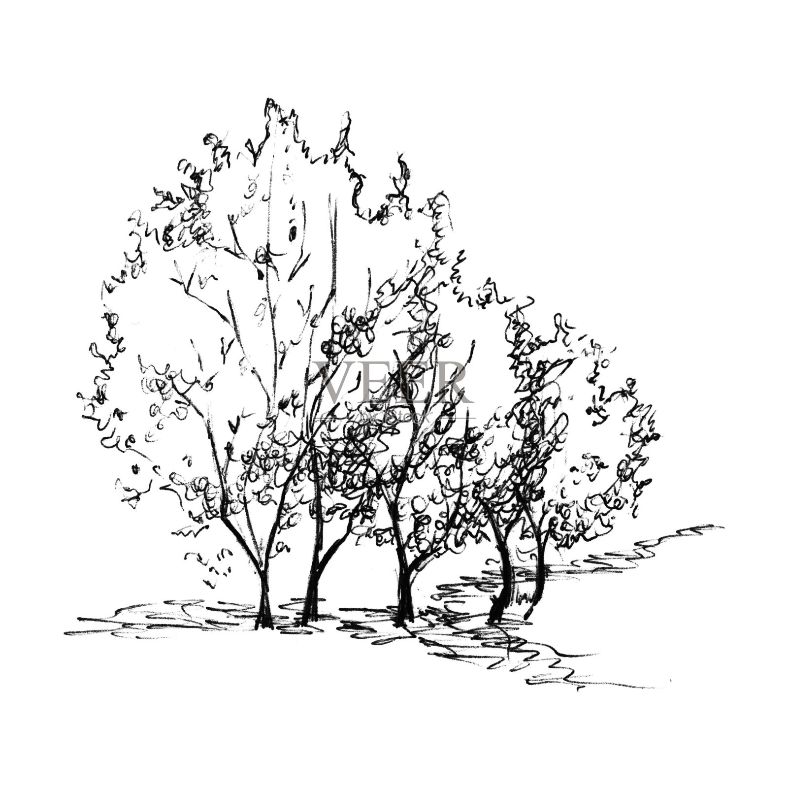 黑白灌木剪影素描线艺术孤立插画图片素材