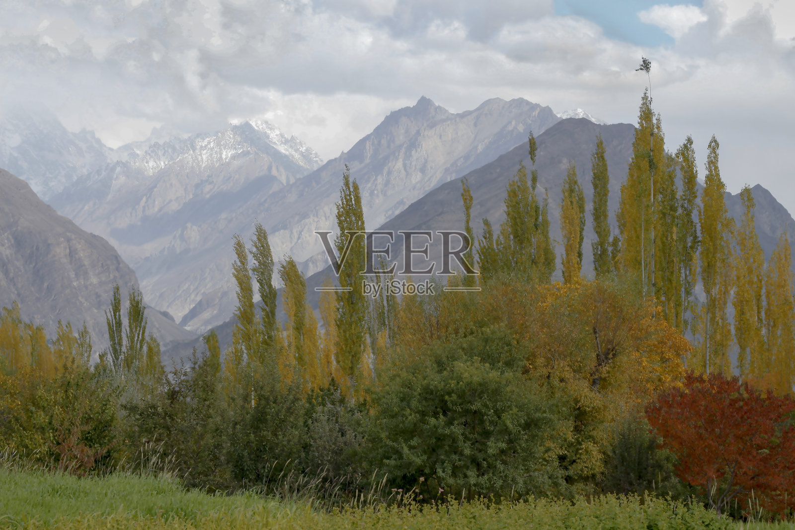 巴基斯坦吉尔吉特-巴尔蒂斯坦的秋天照片摄影图片