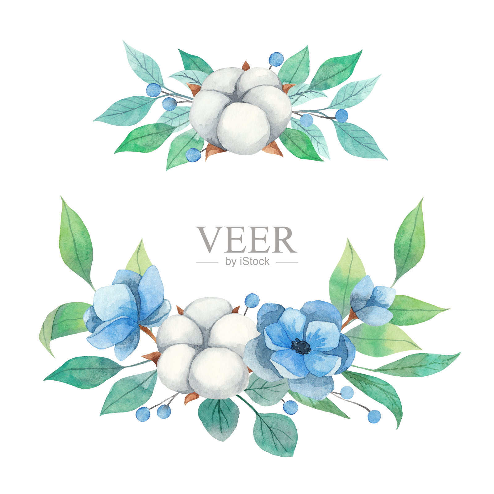 春天的水彩画把银莲花，棉花和绿色的树枝分开的花束放在白色的背景上插画图片素材