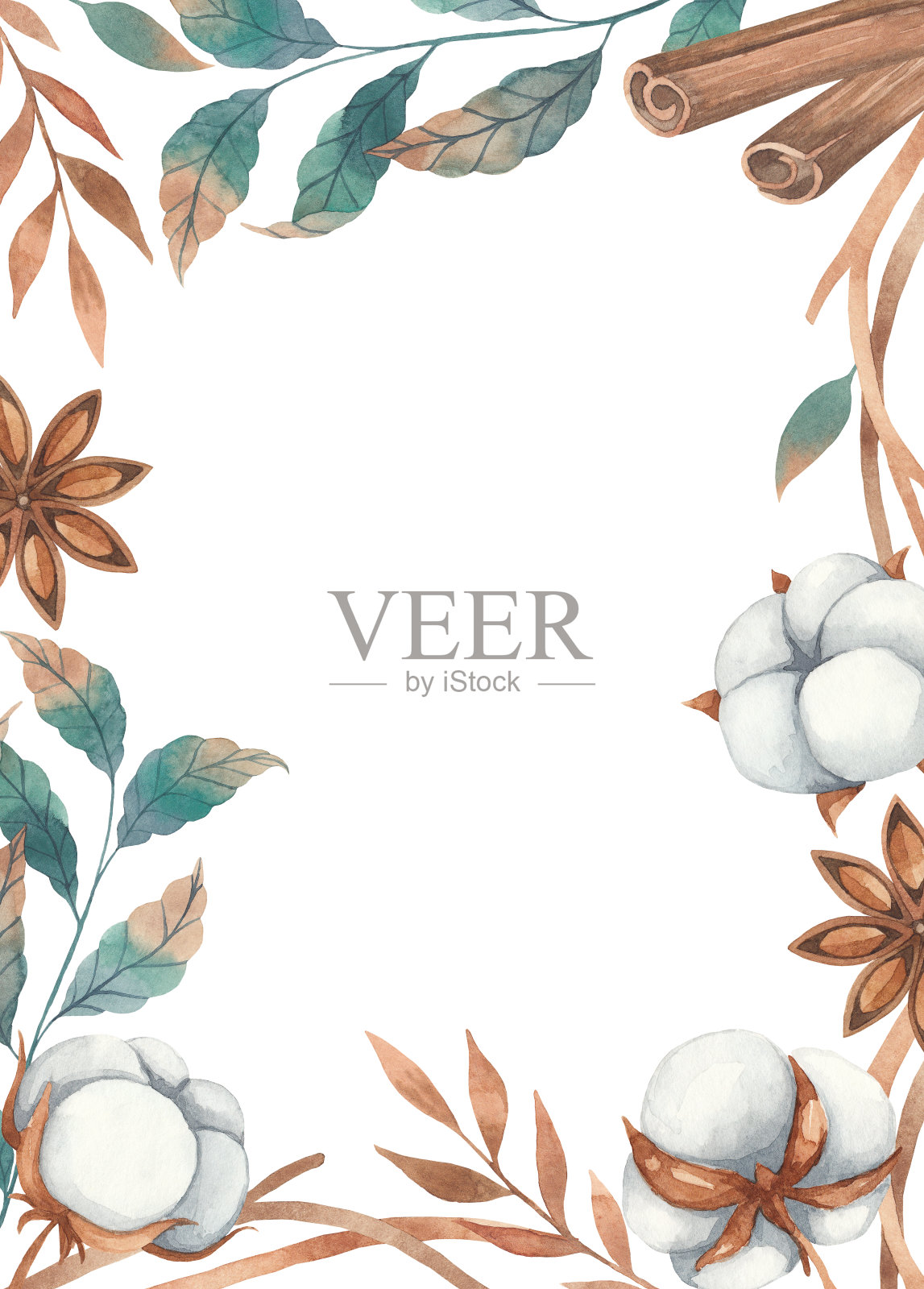 水彩框架的花棉花，香料肉桂，茴香和小树枝，孤立在白色的背景插画图片素材
