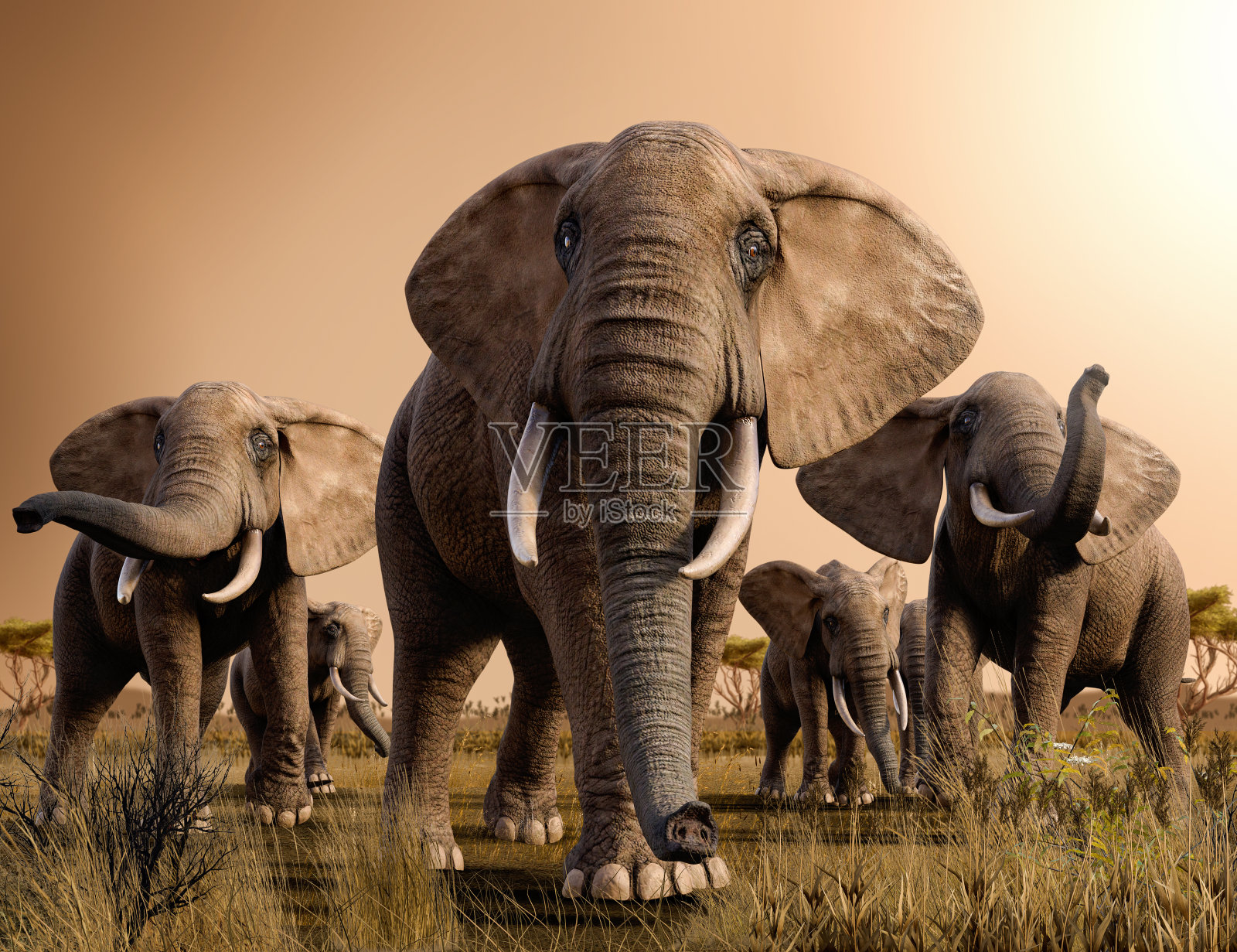 日落时热带草原上的非洲象群插画图片素材