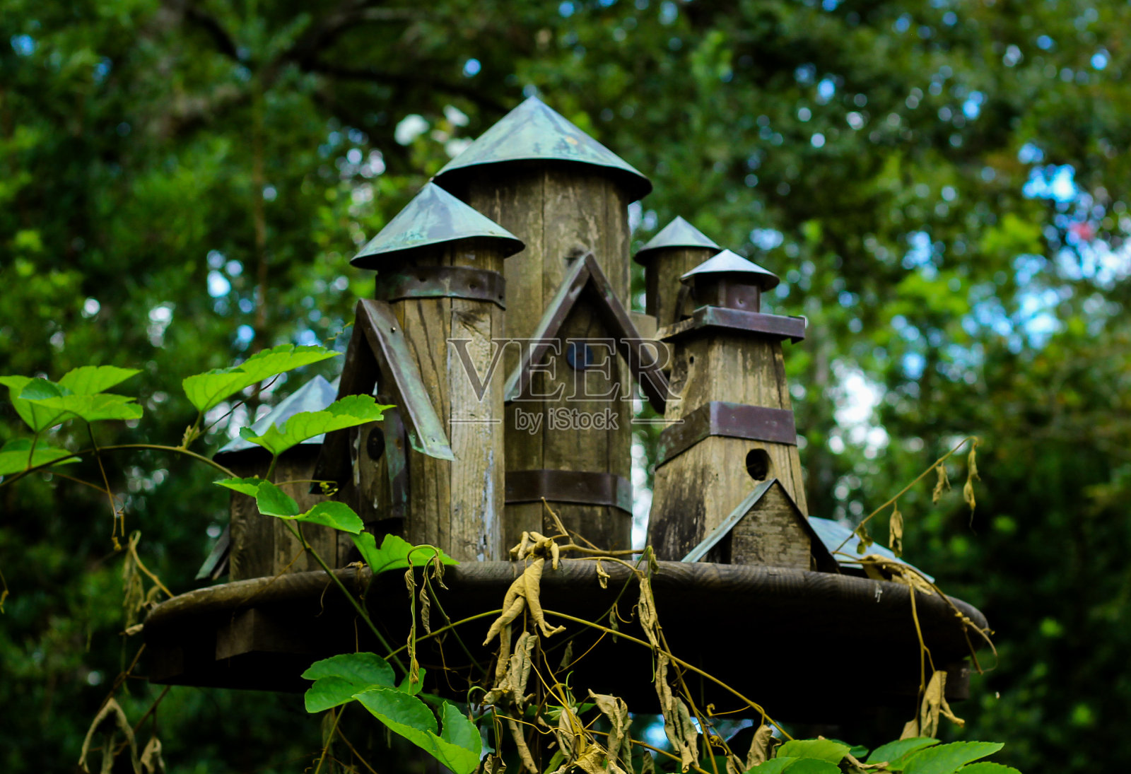 华丽的鸟的房子照片摄影图片