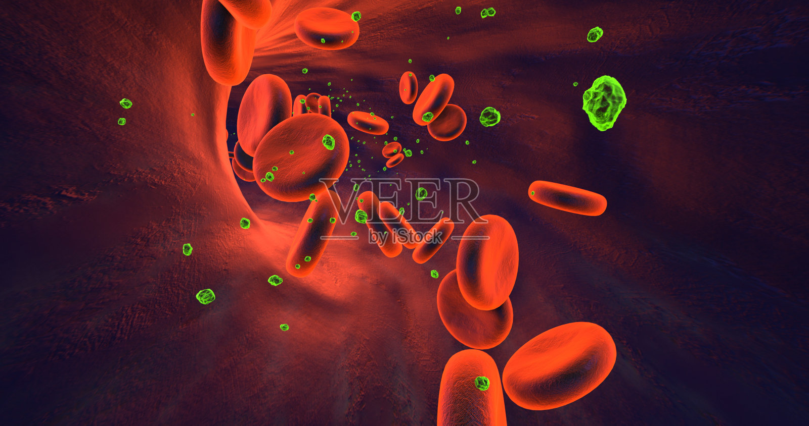 人体血管内流动的红细胞。3D渲染图照片摄影图片
