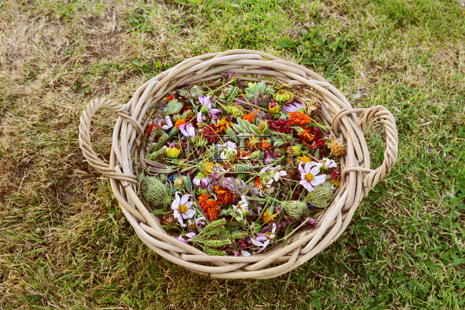 装满凋谢的花园花的大编织篮子照片摄影图片