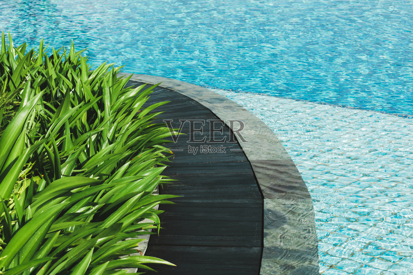 泳池边有木路，石头瓦，绿叶和清澈的蓝色的水。热带的背景。照片摄影图片