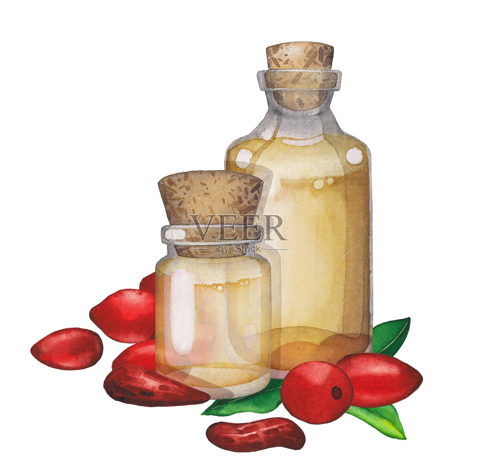 水彩精油瓶装饰枸杞叶和浆果。插画图片素材