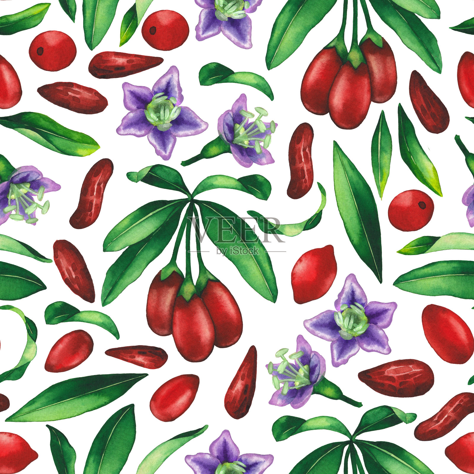 无缝图案的水彩枸杞，浆果，花和叶。插画图片素材