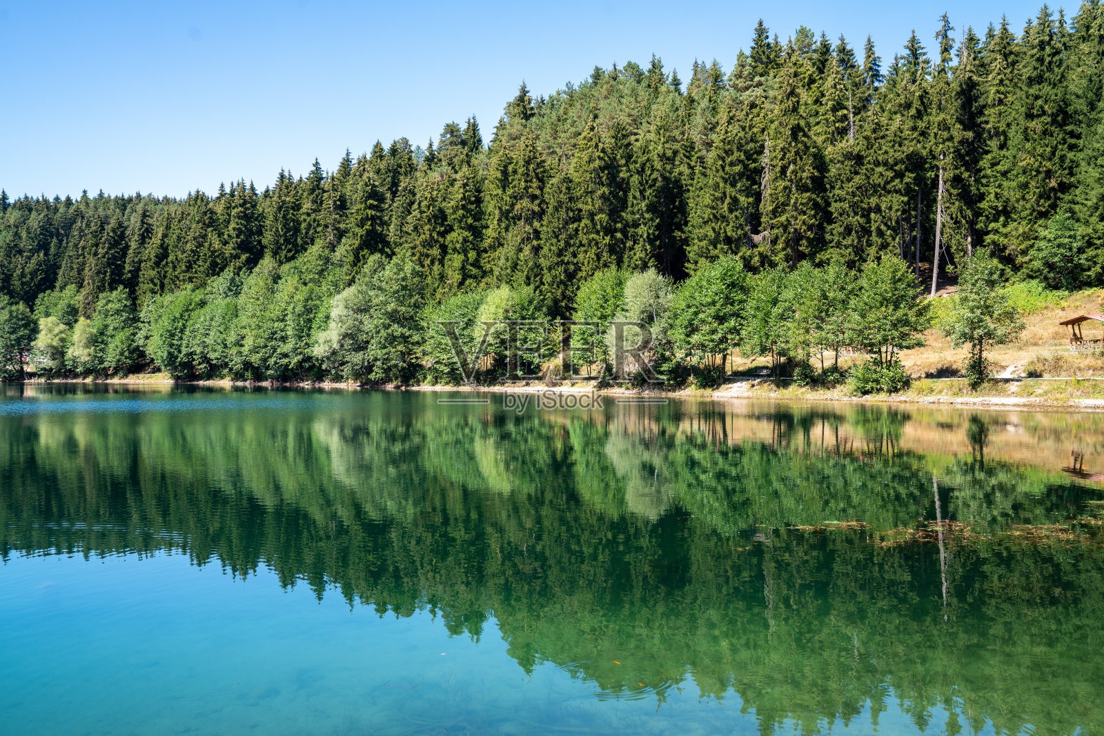 清澈的蓝天下美丽的湖泊和森林景色。自然与旅游的概念。照片摄影图片