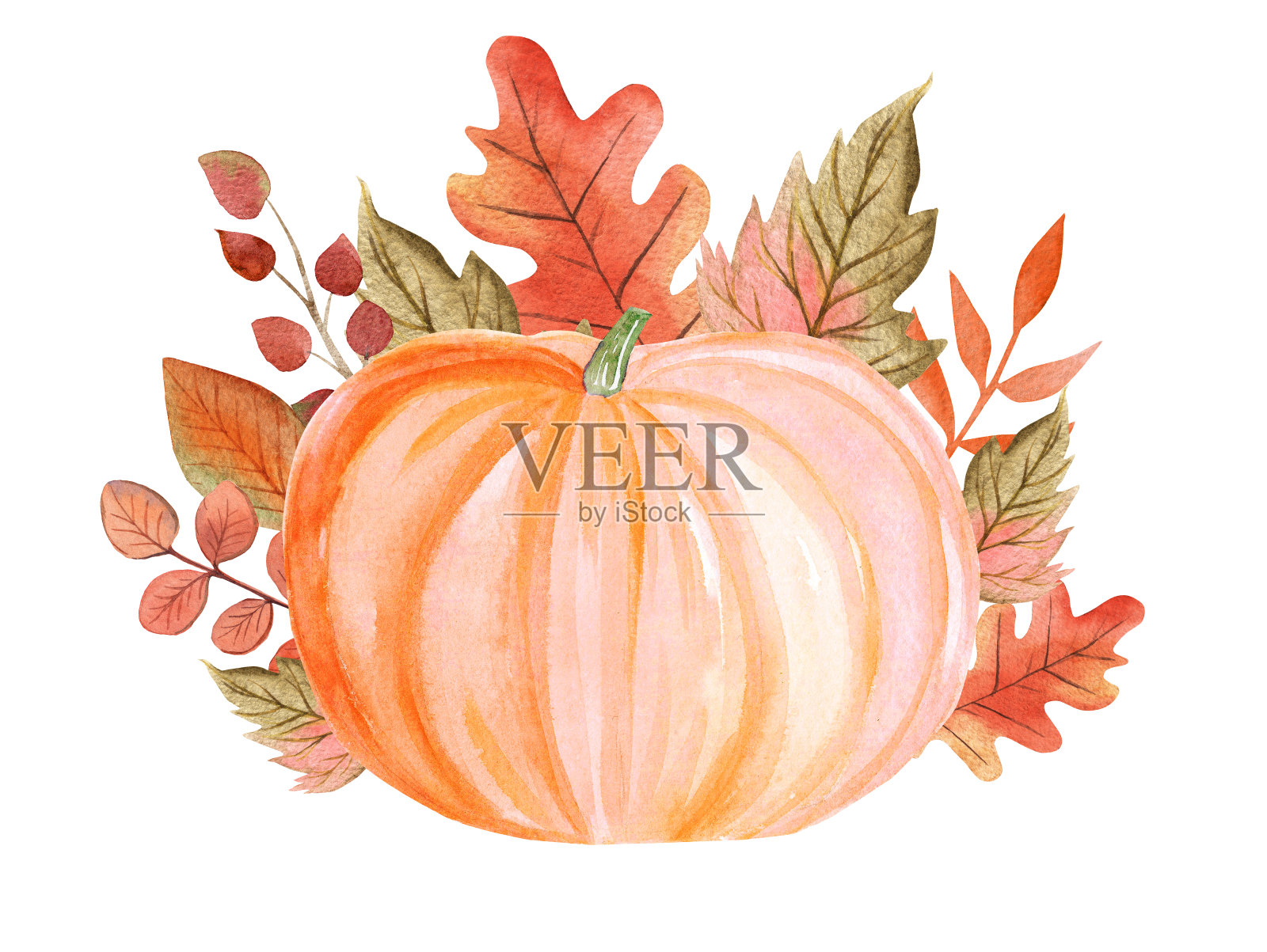 水彩粉彩橙色南瓜与秋天的叶子装饰孤立在白色的背景插画图片素材
