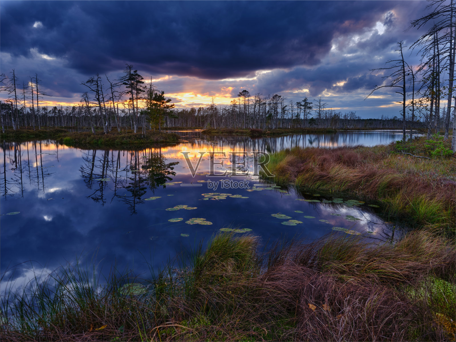 沼泽湖在戏剧性的日落照片摄影图片