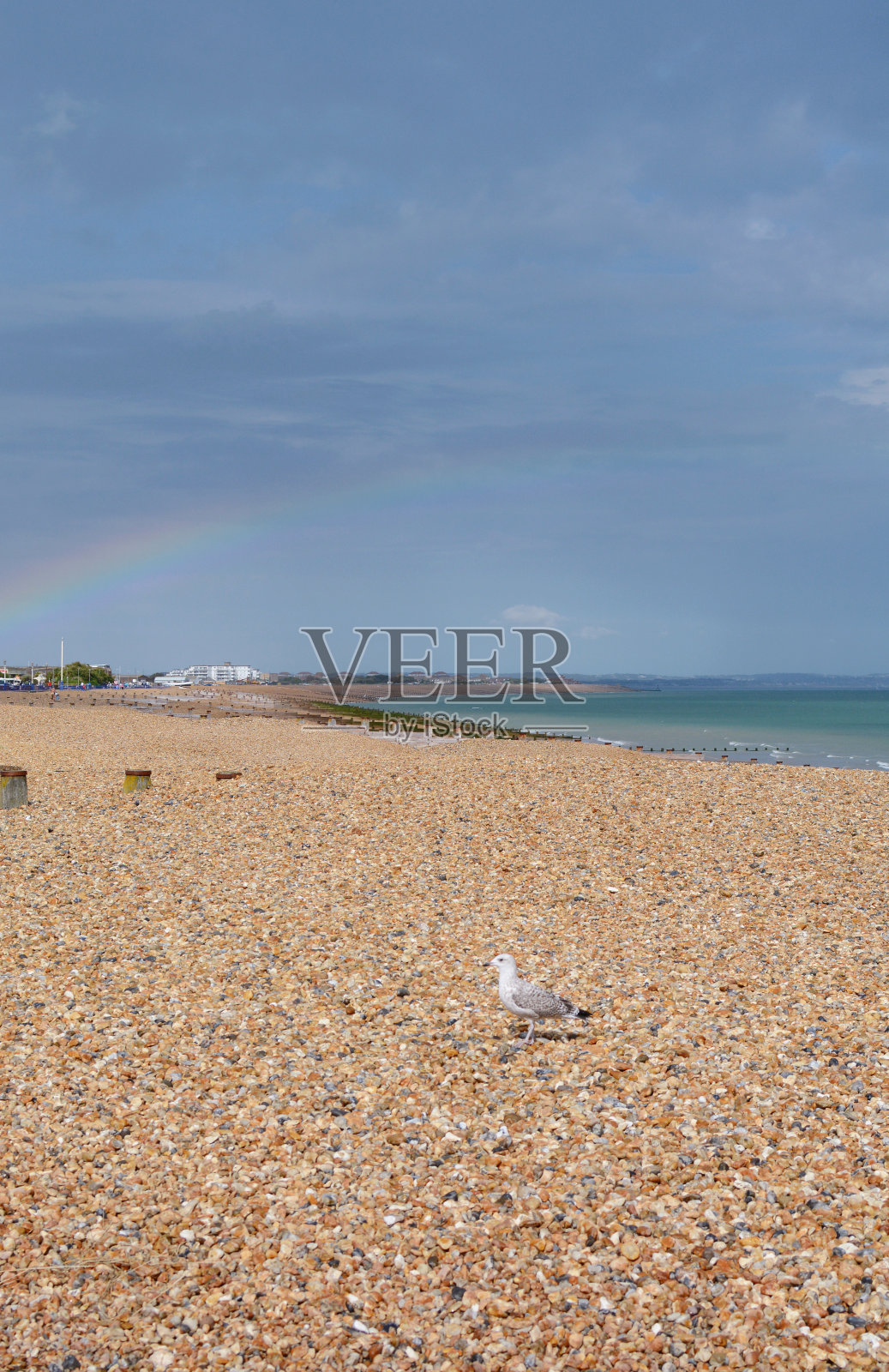 卵石滩上阳光下的海鸥，彩虹横跨天空照片摄影图片