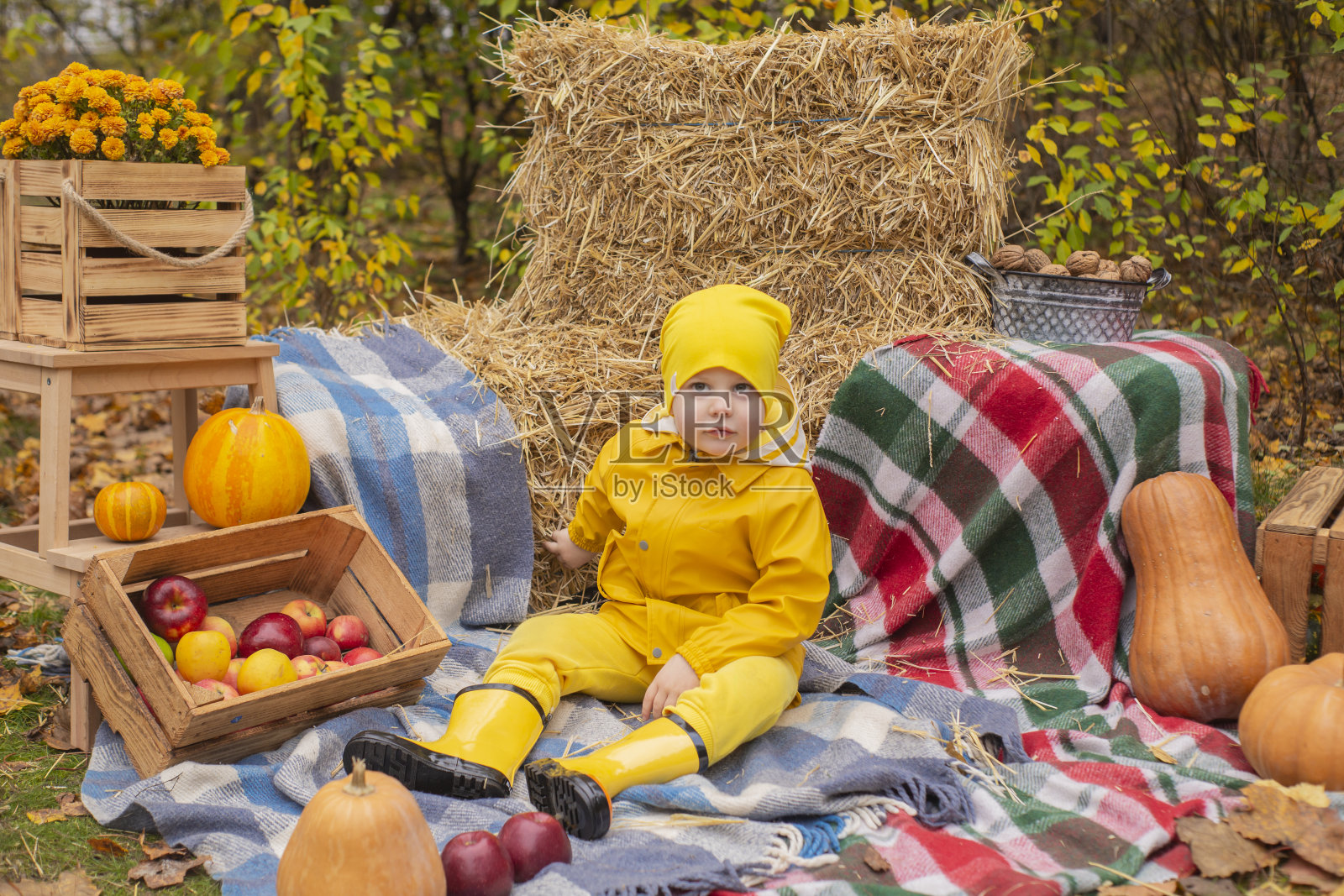 可爱美丽的学龄前男孩在橙色裤子，雨衣，帽子，胶靴附近的秋天装饰的照片区-南瓜，苹果，毯子，干草。舒适照片摄影图片