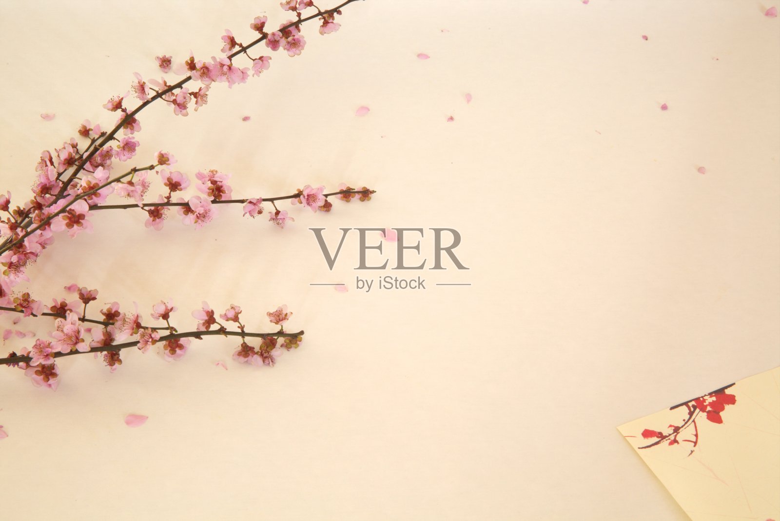 桌上粉红桃花枝叶装饰，古典粉彩背景，复制空间照片摄影图片