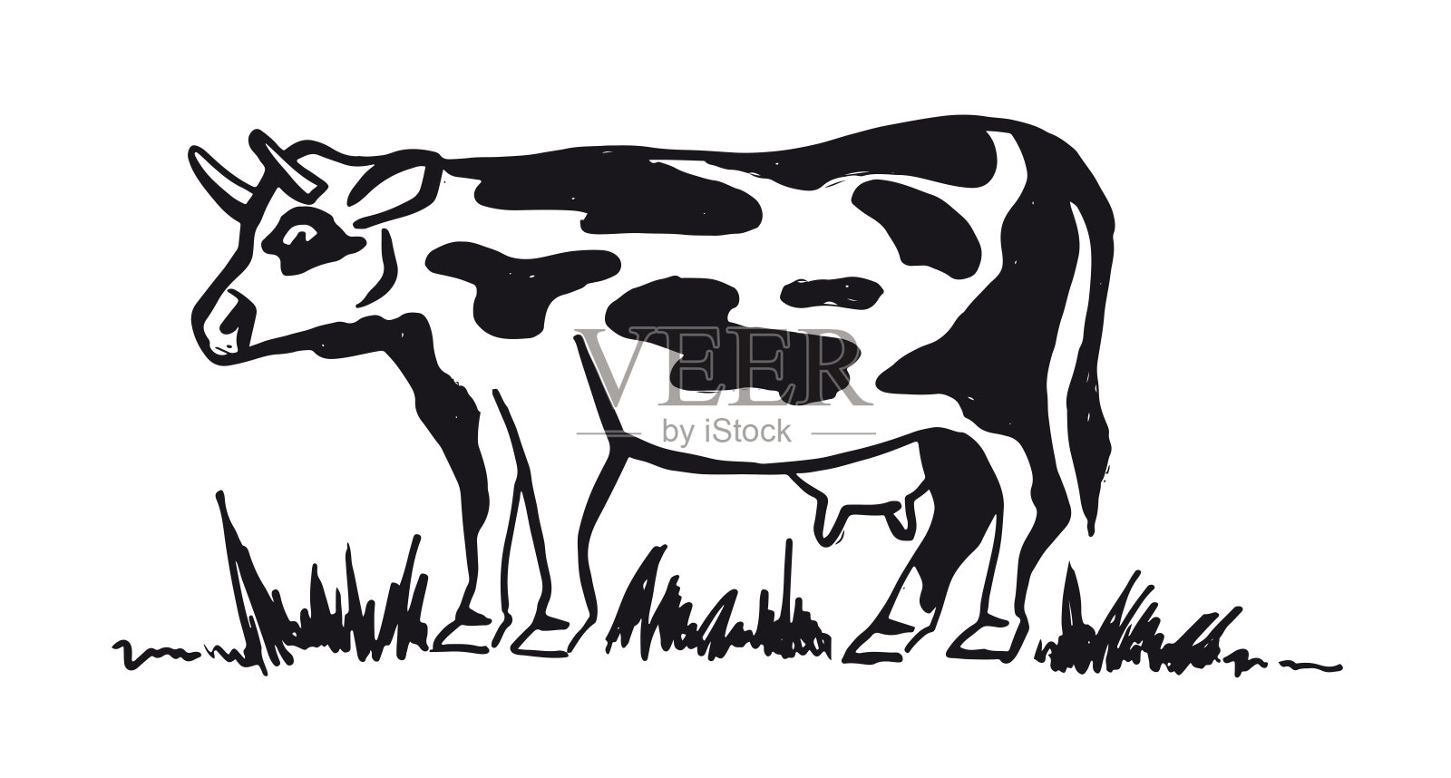 白色背景上的黑色奶牛。向量。插画图片素材