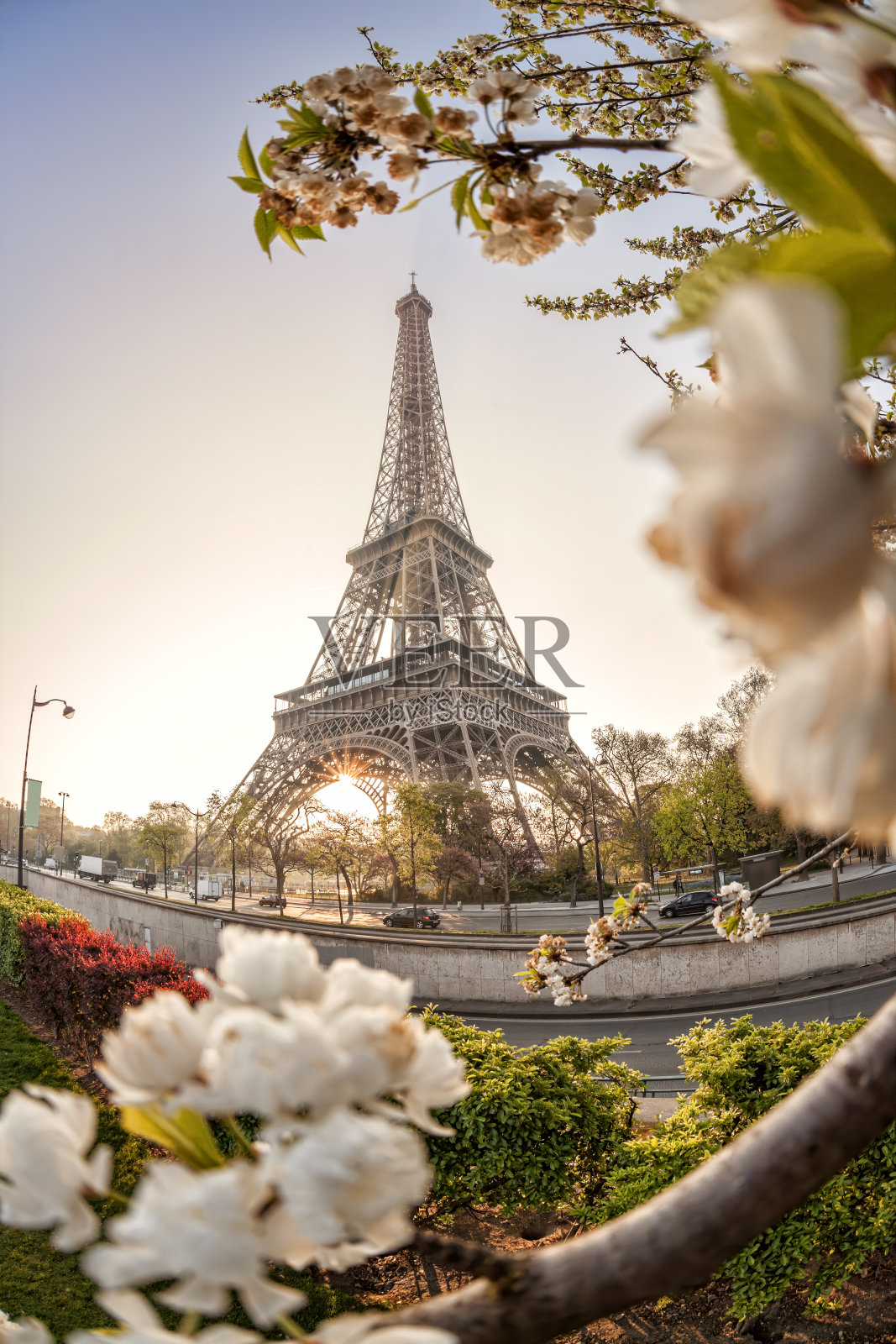 法国巴黎，春天的埃菲尔铁塔和日出的树木照片摄影图片