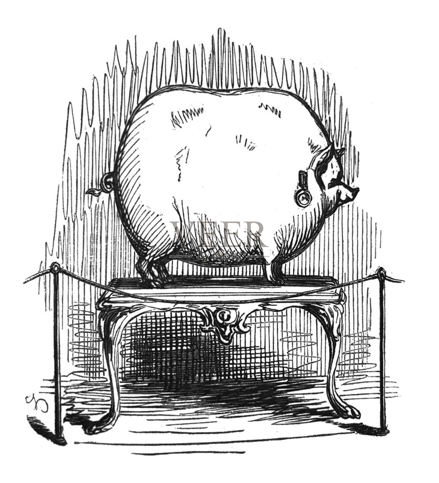 英国讽刺漫画漫画插图-非常大的猪站在桌子上设计元素图片