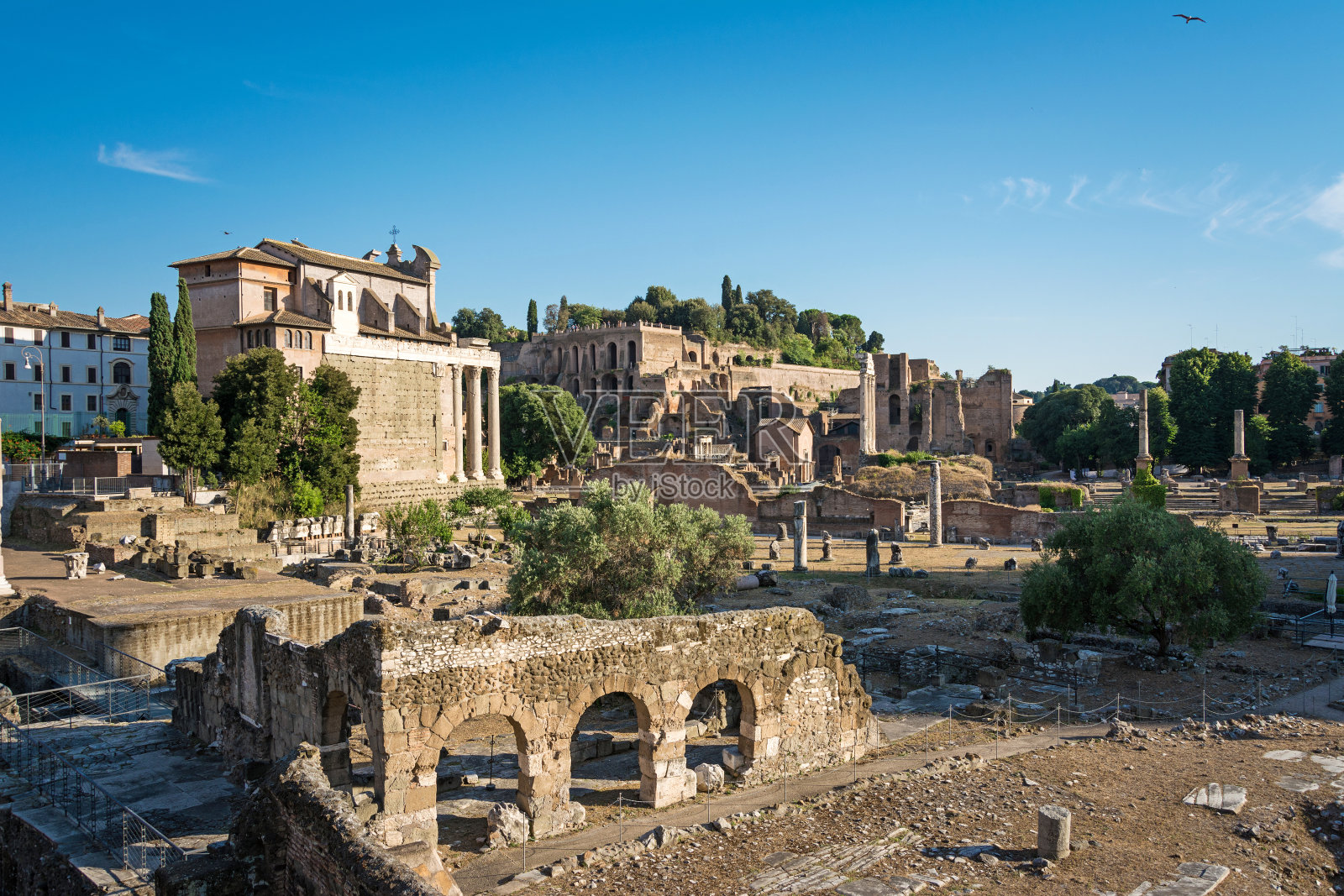 罗马帝国论坛遗址的全景景观。意大利照片摄影图片