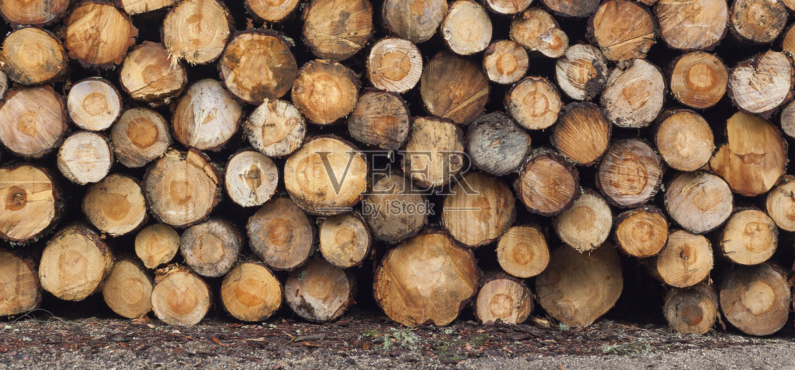 伐木，砍伐森林。堆叠日志。照片摄影图片