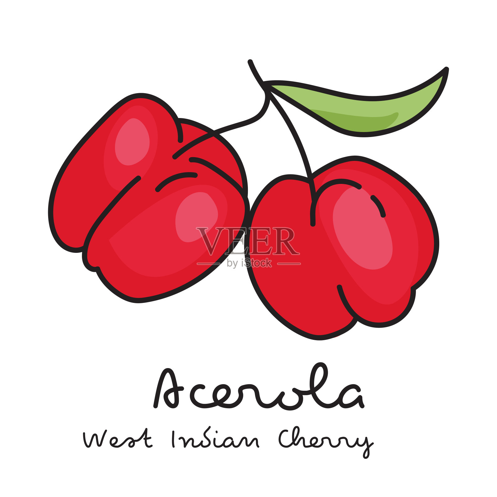 白色背景上的红色针叶罗拉浆果。西印度樱桃。插画图片素材