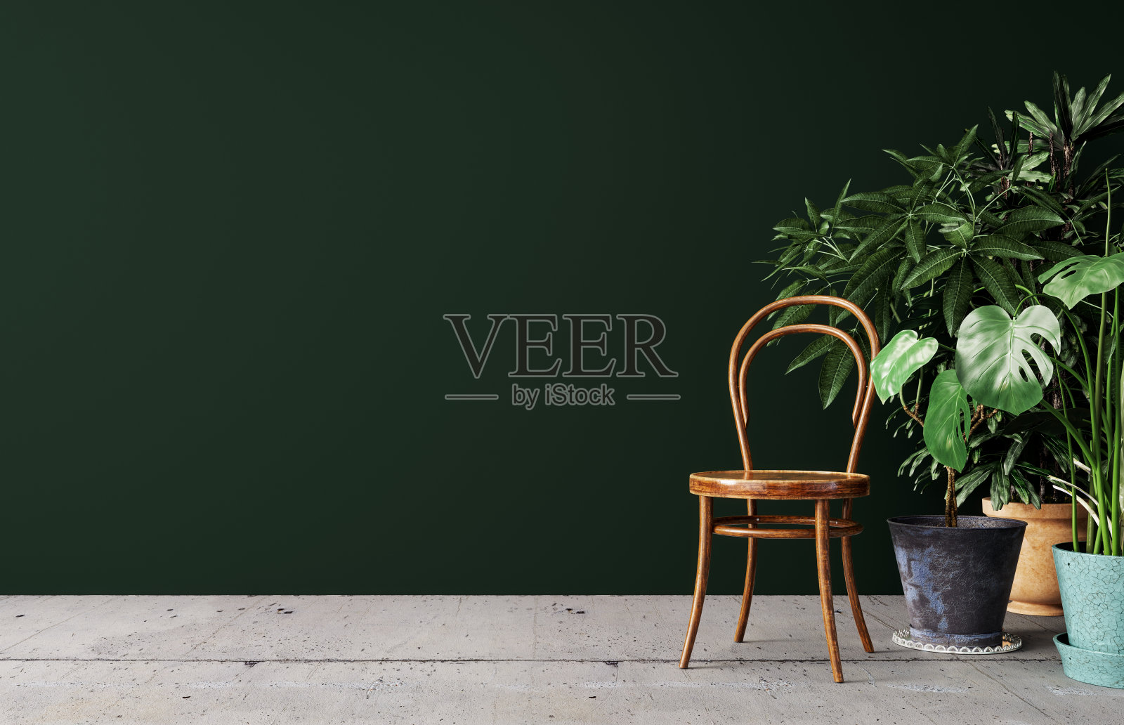 在深绿色的墙壁背景前，用盆栽植物和旧木椅模拟室内照片摄影图片