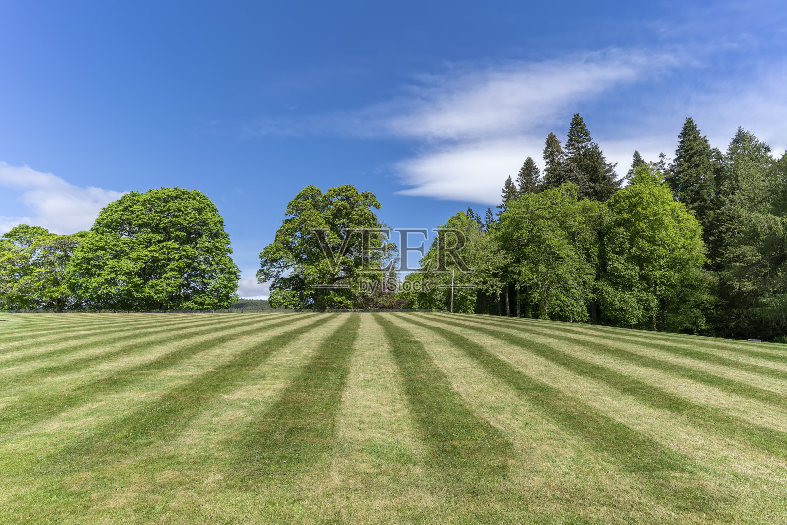 苏格兰，花园里的草坪被修剪过了照片摄影图片