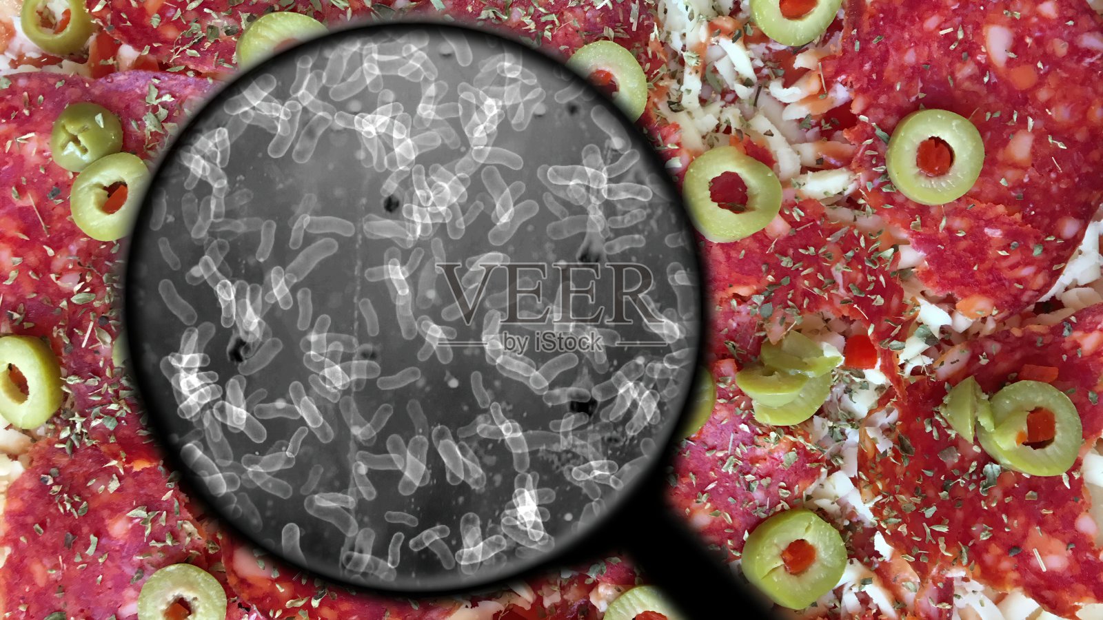 寻找食物中的细菌照片摄影图片